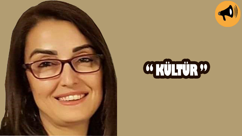 Ayşe Aytav yazdı