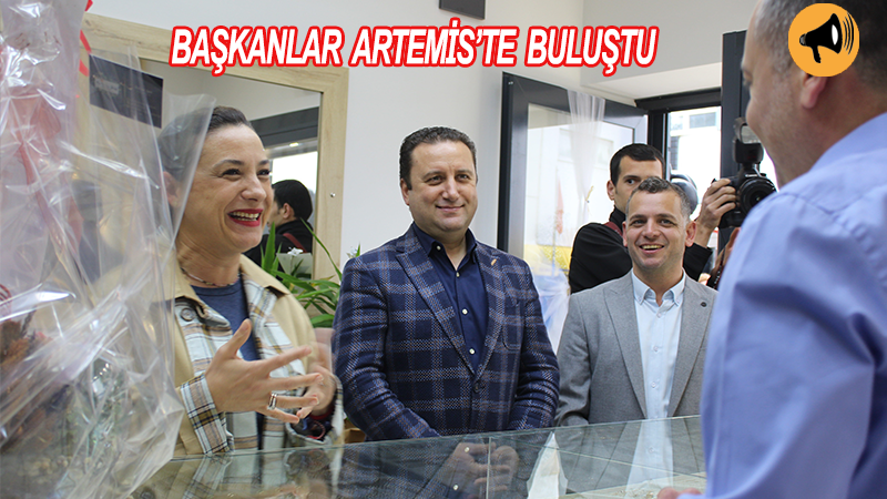 Artemis hizmete girdi.
