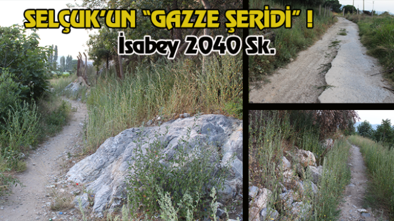 Gazze Şeridi değil Selçuk sokağı