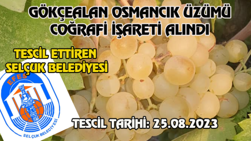 TEBRİKLER SELÇUK BELEDİYESİ'NE