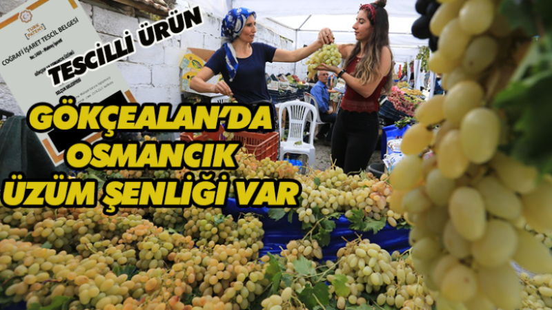TESCİLLİ ÜRÜNÜN ŞENLİĞİ