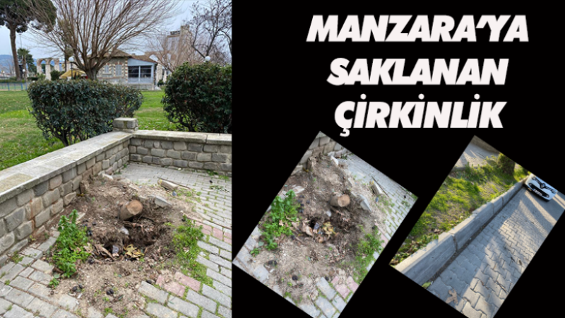 CARPOUZA KAFE'NİN ARKASINA SAKLANAN