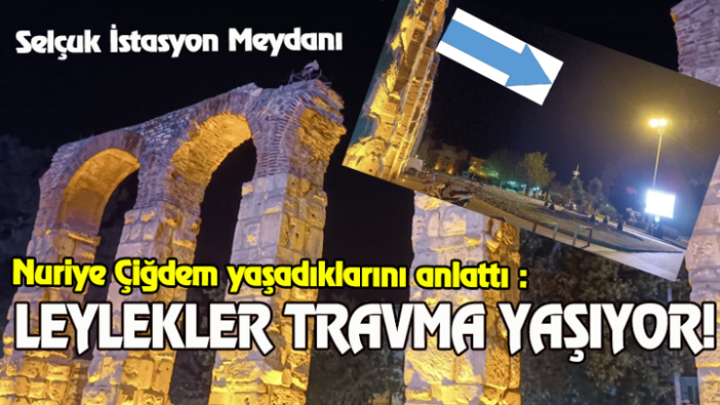 LEYLEKLER TRAVMA YAŞIYOR
